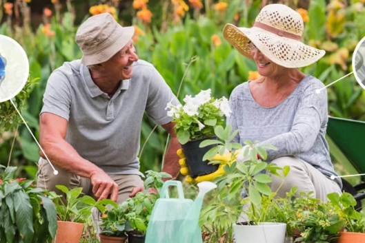 senior couple gardening